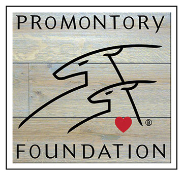 Promontory Foundation Logo